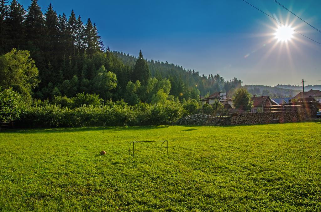 Pensiunea Casa Elvira วามา ภายนอก รูปภาพ